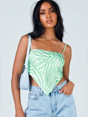 Princess Polly Mint Green Zebra Top